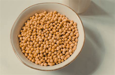 soy lecithin made from.